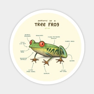 Anatomy of a Tree Frog Magnet